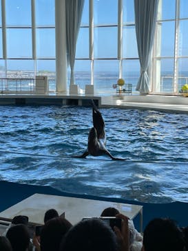 アクアワールド茨城県大洗水族館に投稿された画像（2023/9/3）