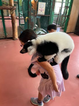 那須ワールドモンキーパークに投稿された画像（2023/9/3）