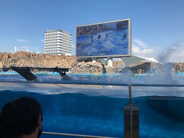 名古屋港水族館に投稿された画像（2023/9/3）