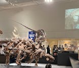 大阪市立自然史博物館に投稿された画像（2023/9/3）