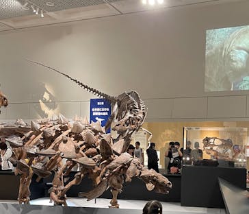 大阪市立自然史博物館に投稿された画像（2023/9/3）