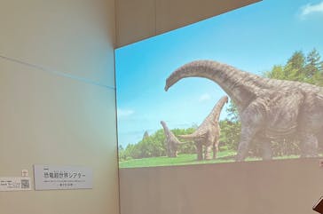 大阪市立自然史博物館に投稿された画像（2023/9/3）