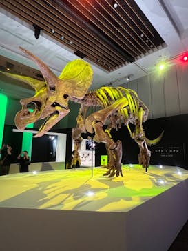 DinoScience 恐竜科学博 2023@TOKYO MIDTOWNに投稿された画像（2023/9/3）
