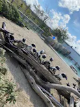 仙台うみの杜水族館に投稿された画像（2023/9/3）