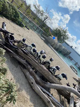 仙台うみの杜水族館に投稿された画像（2023/9/3）