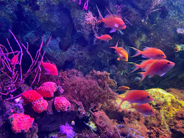 仙台うみの杜水族館に投稿された画像（2023/9/3）