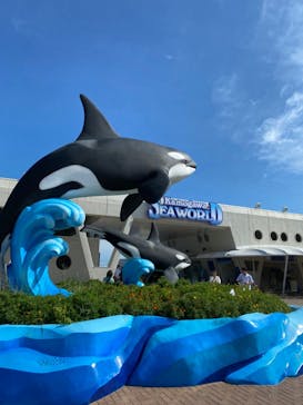 鴨川シーワールドに投稿された画像（2023/9/3）