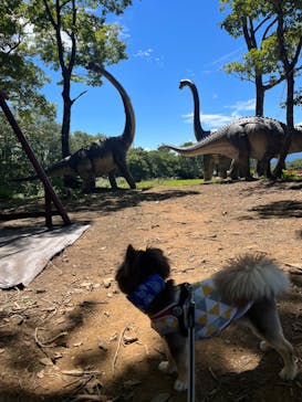 ひるがのピクニックガーデンに投稿された画像（2023/9/3）