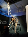 DinoScience 恐竜科学博 2023@TOKYO MIDTOWNに投稿された画像（2023/9/3）