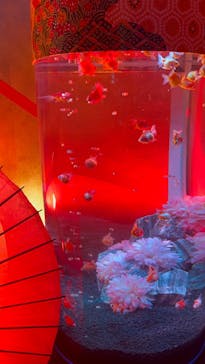 ネオパークオキナワに投稿された画像（2023/9/3）