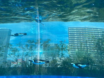 サンシャイン水族館に投稿された画像（2023/9/3）