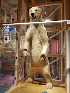 国立科学博物館に投稿された画像（2023/9/3）