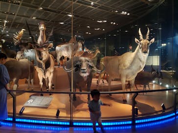 国立科学博物館に投稿された画像（2023/9/3）