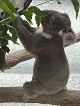 淡路ファームパーク イングランドの丘に投稿された画像（2023/9/3）