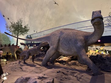 福井県立恐竜博物館に投稿された画像（2023/9/3）