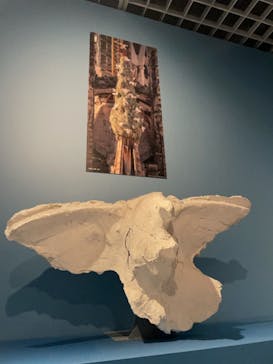 ガウディとサグラダ・ファミリア展 （東京国立近代美術館）に投稿された画像（2023/9/3）