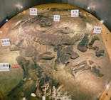 福井県立恐竜博物館に投稿された画像（2023/9/4）