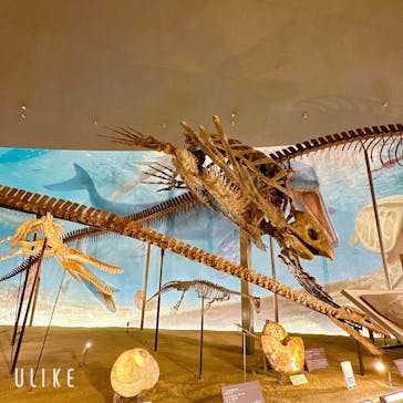 福井県立恐竜博物館に投稿された画像（2023/9/3）