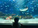 サンシャイン水族館に投稿された画像（2023/9/4）