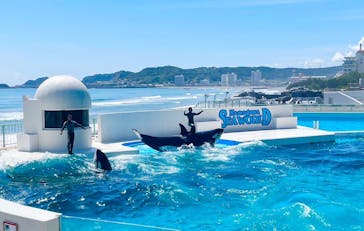 鴨川シーワールドに投稿された画像（2023/9/4）