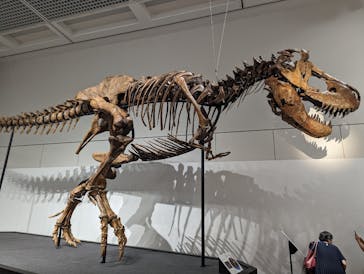 大阪市立自然史博物館に投稿された画像（2023/9/4）