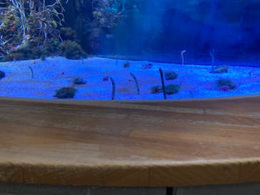 名古屋港水族館に投稿された画像（2023/9/4）