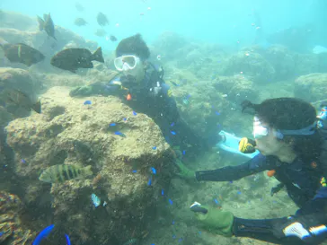 武藤潜水に投稿された画像（2023/9/4）