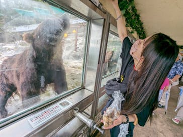 のぼりべつクマ牧場に投稿された画像（2023/9/4）