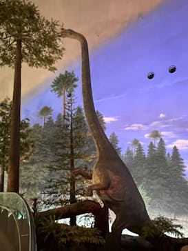 福井県立恐竜博物館に投稿された画像（2023/9/4）