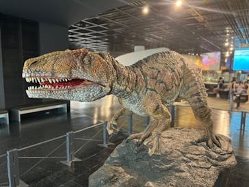 福井県立恐竜博物館に投稿された画像（2023/9/4）