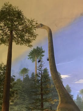 福井県立恐竜博物館に投稿された画像（2023/9/4）