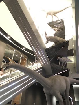 福井県立恐竜博物館に投稿された画像（2023/9/4）