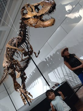 大阪市立自然史博物館に投稿された画像（2023/9/4）