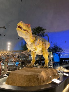 福井県立恐竜博物館に投稿された画像（2023/9/4）
