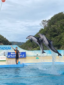 下田海中水族館に投稿された画像（2023/9/4）