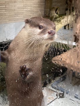 下田海中水族館に投稿された画像（2023/9/4）