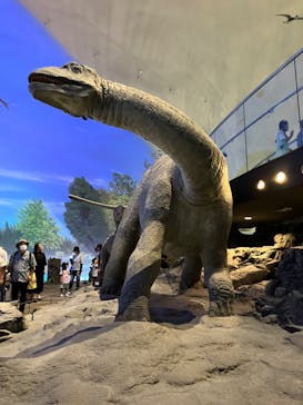 福井県立恐竜博物館に投稿された画像（2023/9/4）