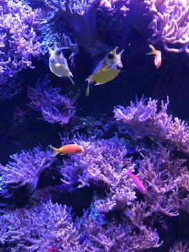 名古屋港水族館に投稿された画像（2023/9/4）