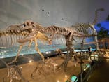 福井県立恐竜博物館に投稿された画像（2023/9/4）