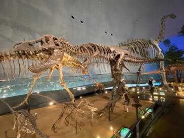 福井県立恐竜博物館に投稿された画像（2023/9/4）