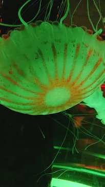 マクセル アクアパーク品川に投稿された画像（2023/9/4）