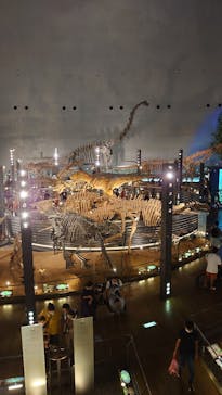 福井県立恐竜博物館に投稿された画像（2023/9/4）