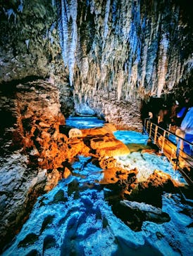 おきなわワールドに投稿された画像（2023/9/4）