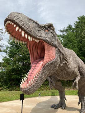 福井県立恐竜博物館に投稿された画像（2023/9/4）