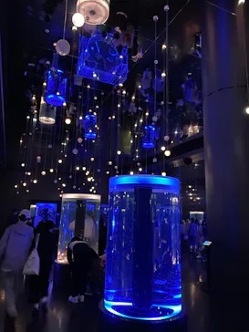 マクセル アクアパーク品川に投稿された画像（2023/9/4）