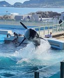 鴨川シーワールドに投稿された画像（2023/9/5）