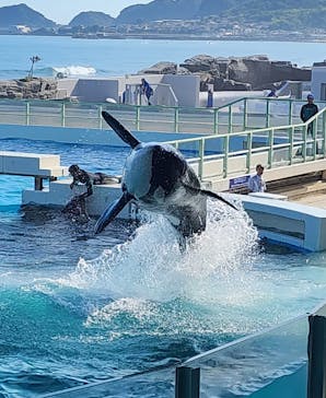 鴨川シーワールドに投稿された画像（2023/9/4）