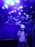 サンシャイン水族館に投稿された画像（2023/9/5）