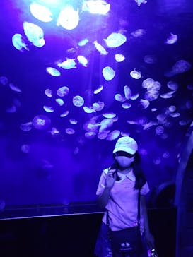 サンシャイン水族館に投稿された画像（2023/9/4）