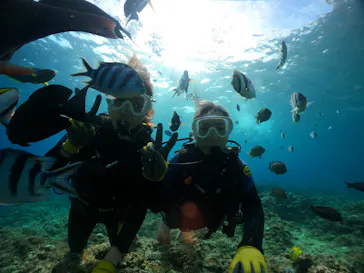 武藤潜水に投稿された画像（2023/9/5）